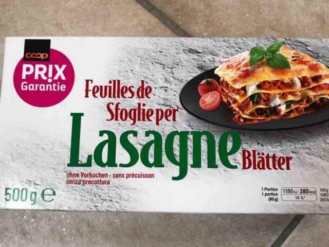 Lasagne Blätter, ohne Vorkochen von Spargeltarzan | Hochgeladen von: Spargeltarzan