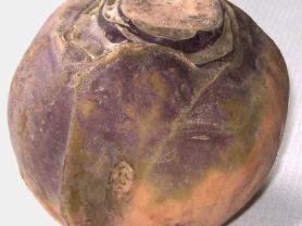 Hochgeladen von: Meleana