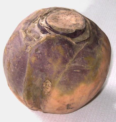 Hochgeladen von: Meleana Hochgeladen von: Meleana