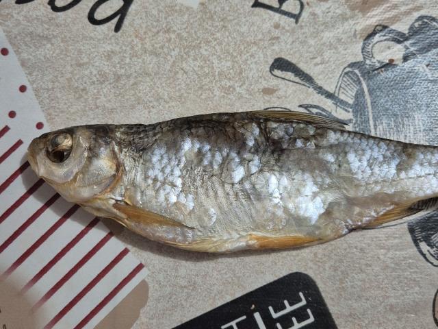 Hochgeladen von: askkkorbinka