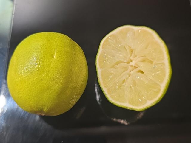 Hochgeladen von: Paulina B