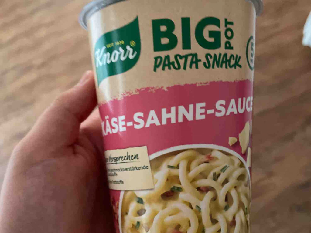 Big Pot Pasta Snack Käse-Sahne-Sauce von justsoley | Hochgeladen von: justsoley