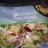 eisbergsalat rohkost mix von bella1210 | Hochgeladen von: bella1210