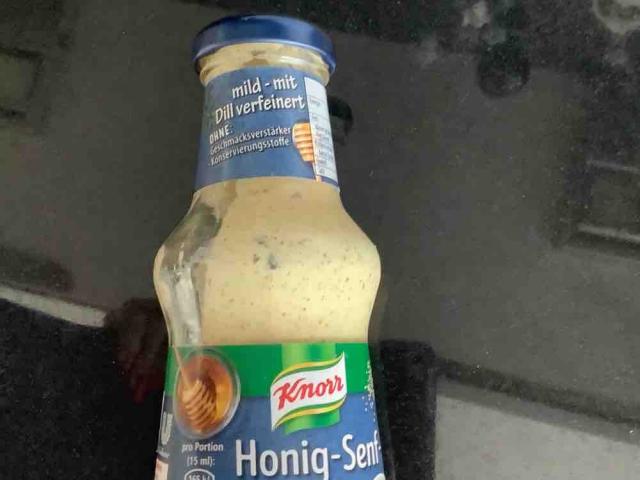 Honig-Senf-Dill Sauce von speedymaus | Hochgeladen von: speedymaus