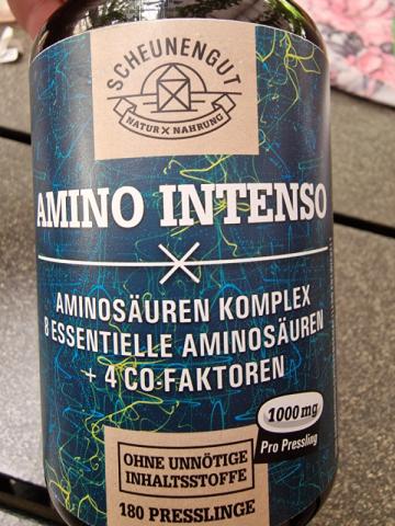 Amino Intenso, Aminosäurenkomplex von Steffi1203 | Hochgeladen von: Steffi1203