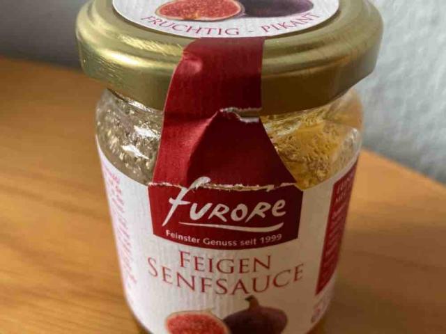 Feigensenfsauce von Linette | Hochgeladen von: Linette