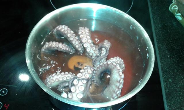 Ganzer Octopus | Hochgeladen von: Misio