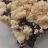 Heidelbeer-Streuselkuchen (Tresckow) von BlAckZ3c | Hochgeladen von: BlAckZ3c