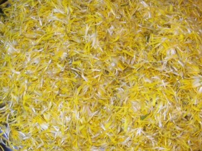 Hochgeladen von: RAHEL Baumgartner