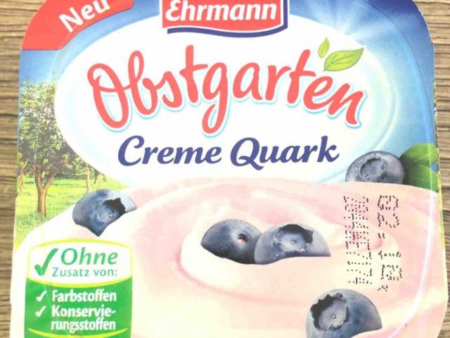 Obstgarten Creme Quark Heidelbeere von ignidrake994 | Hochgeladen von: ignidrake994