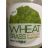 Wheat Grass | Hochgeladen von: Mox