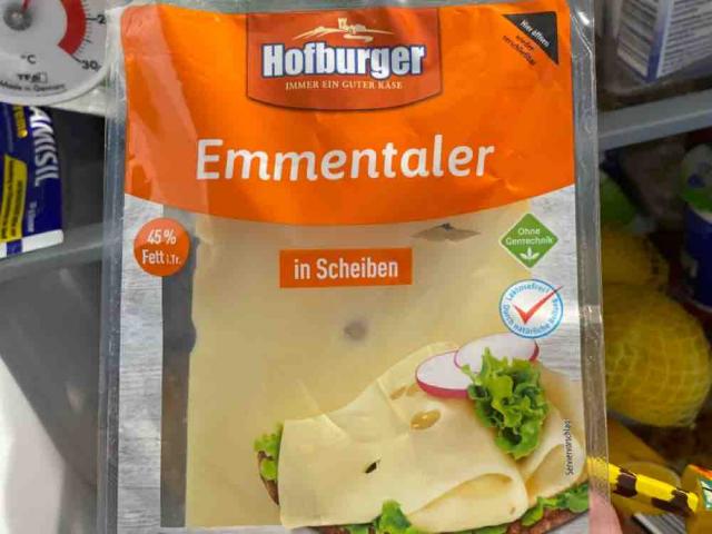 Emmentaler in scheiben von Lauralalaksr | Hochgeladen von: Lauralalaksr