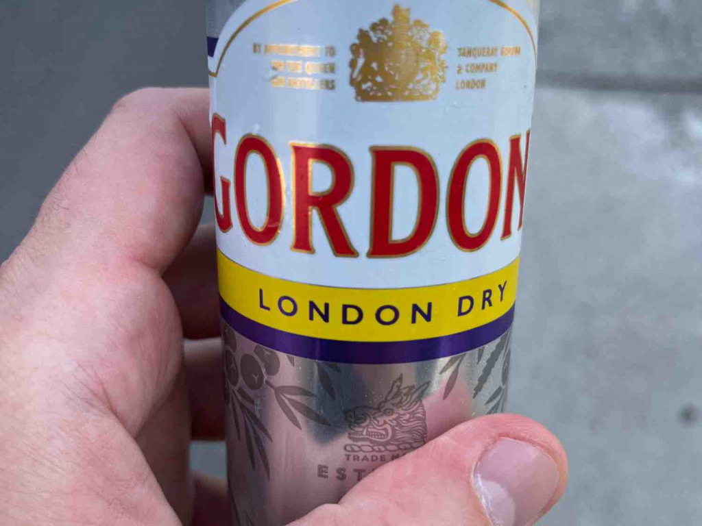 gordon‘s london dry, gin tonic 5% von fiki | Hochgeladen von: fiki