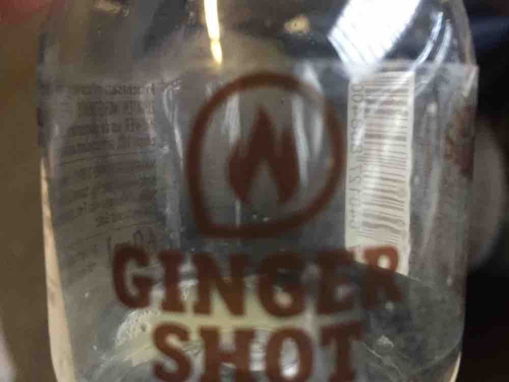 ginger shot, sluups von Valeisator | Hochgeladen von: Valeisator