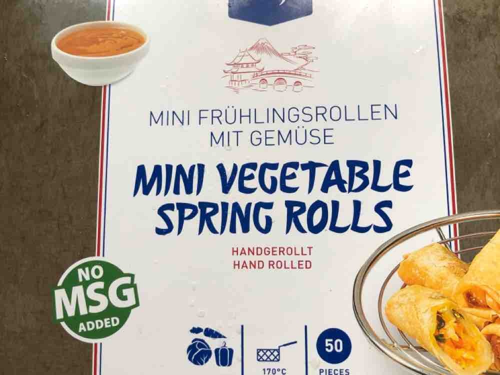 Mini Frühlingsrollen mit Gemüse Metro von sacherheftrich506 | Hochgeladen von: sacherheftrich506