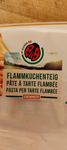 Flammkuchenteig von Knuffel 1975 | Hochgeladen von: Knuffel 1975