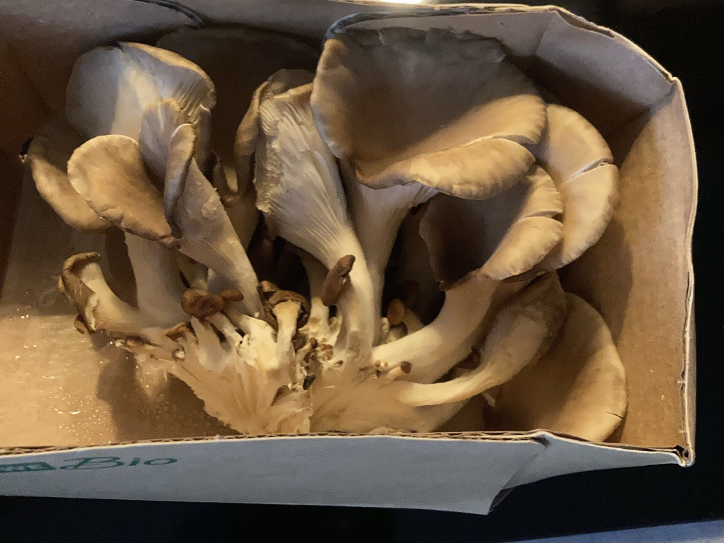 Hochgeladen von: ATh1966