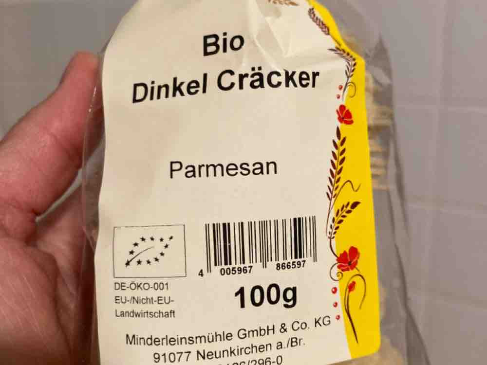 bio dinkel cracker, parmesan von Yps160 | Hochgeladen von: Yps160