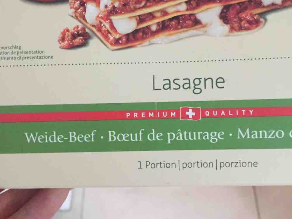 Lasagne, Weidebeef von jada96 | Hochgeladen von: jada96