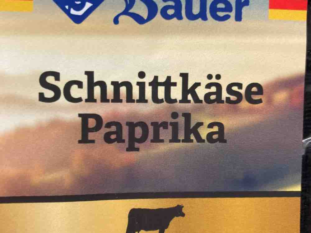 Schnittkäse Paprika, 55% Fett i.Tr. von Suchender | Hochgeladen von: Suchender