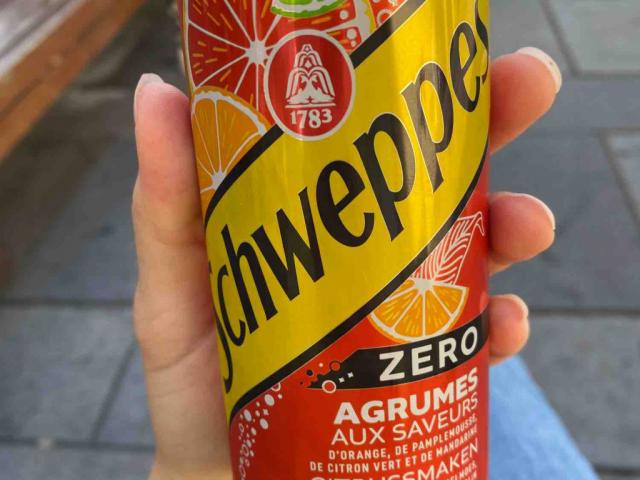 Schweppes Agrumes Zero von xxlindaxx | Hochgeladen von: xxlindaxx