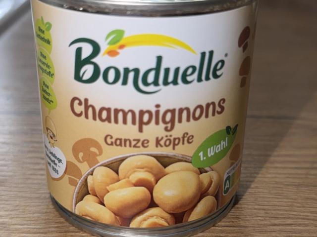 Hochgeladen von: katherb