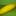 Zucchini, gelb | Hochgeladen von: frankenbluemchen