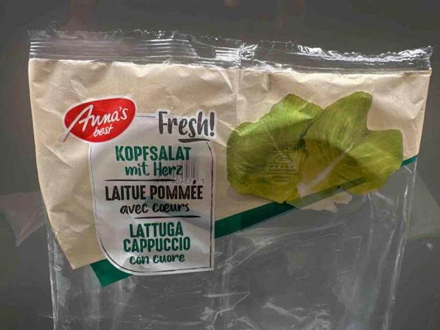 Kopfsalat by sillage | Uploaded by: sillage