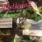 Misticanza Salat Mix, Baby Leaf von monageus | Hochgeladen von: monageus