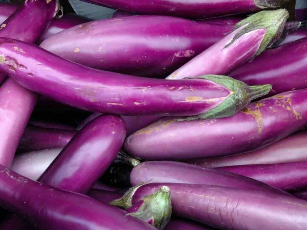 Chinese Eggplant, Long Purple Aubergine von Eloquent | Hochgeladen von: Eloquent
