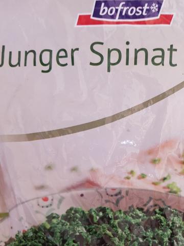 Junger Spinat, gehackt | Hochgeladen von: Bebebruja