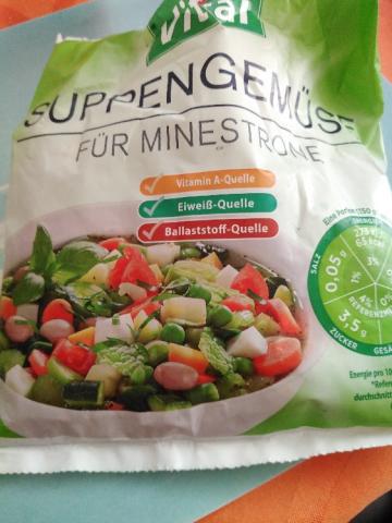 suppen Gemüse, für minestrone von tinniwinni | Hochgeladen von: tinniwinni