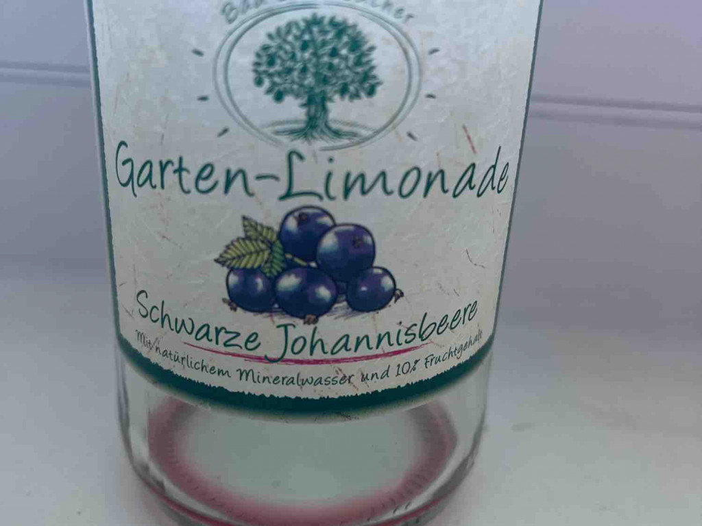 Garten-Limonade, Schwarze Johannisbeere von trenQuo | Hochgeladen von: trenQuo