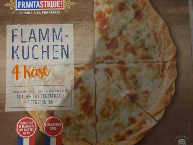 Flammkuchen 4 Käse by BenOhle | Uploaded by: BenOhle