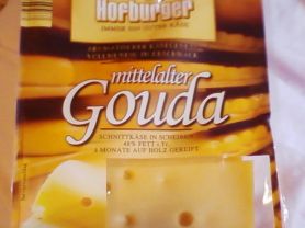 mittelalter Gouda Hofburger | Hochgeladen von: Holzwurm