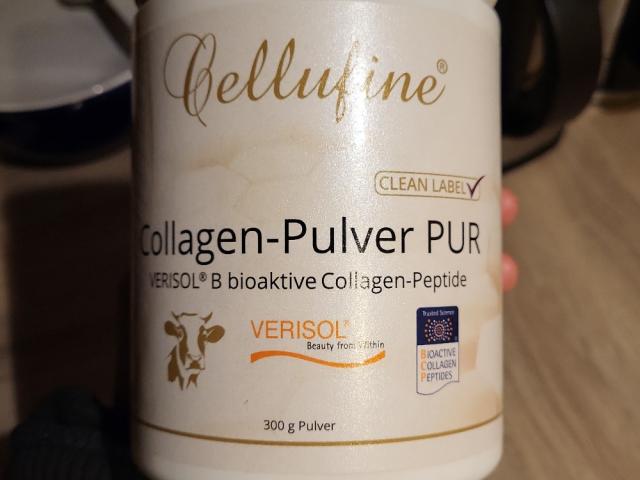 Hochgeladen von: Holzmeise