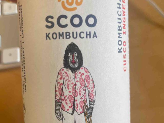 Scoo Kombucha, Cusco Ingwer by BenjaminElefant | Uploaded by: BenjaminElefant