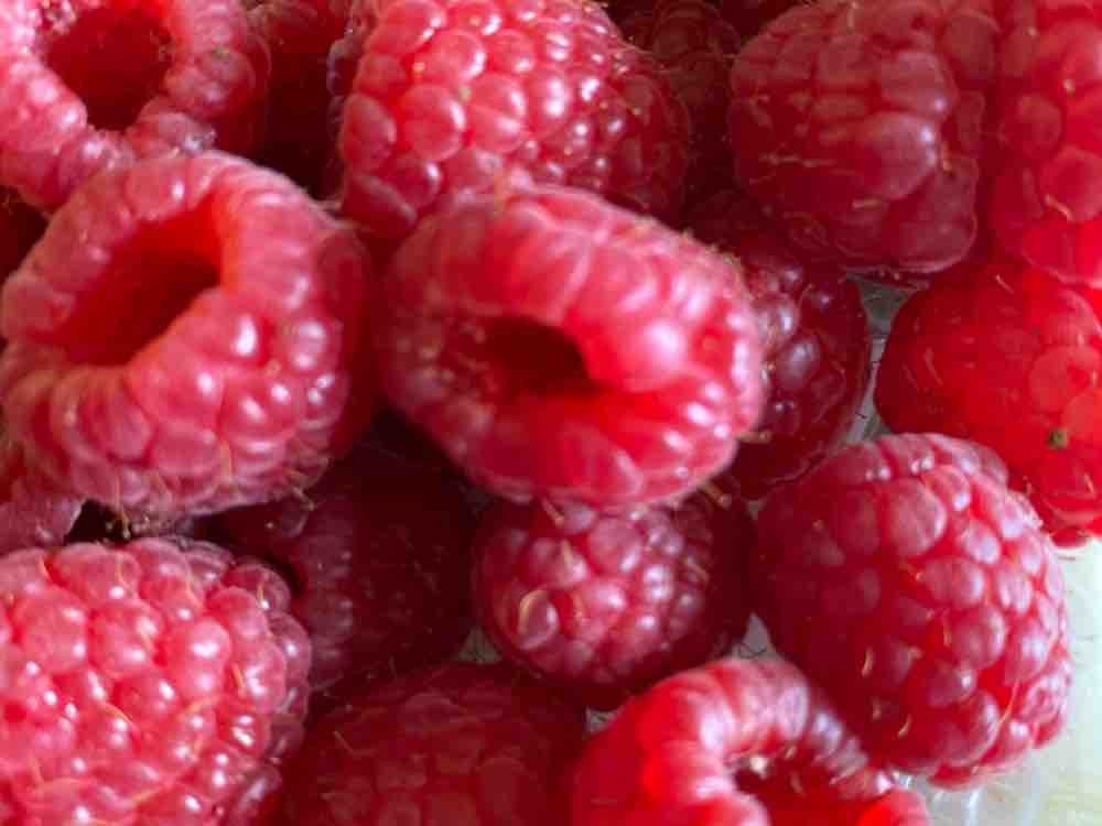 Himbeeren, Frische von NiaHannemann | Hochgeladen von: NiaHannemann