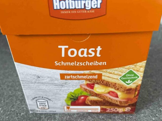 Schmelzscheiben Toast von FyHa98 | Hochgeladen von: FyHa98