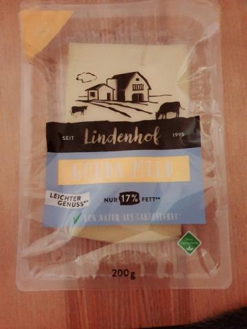 Lindenhof Gouda mild leicht 17% absolut von frederikeeck721 | Hochgeladen von: frederikeeck721