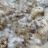 Müsli (Haferflocken, Rosinen, Kölln Haferfleks) von sonjalw | Hochgeladen von: sonjalw