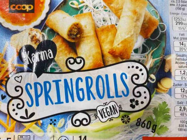 Karma Springrolls, vegan von ngnaegi | Hochgeladen von: ngnaegi