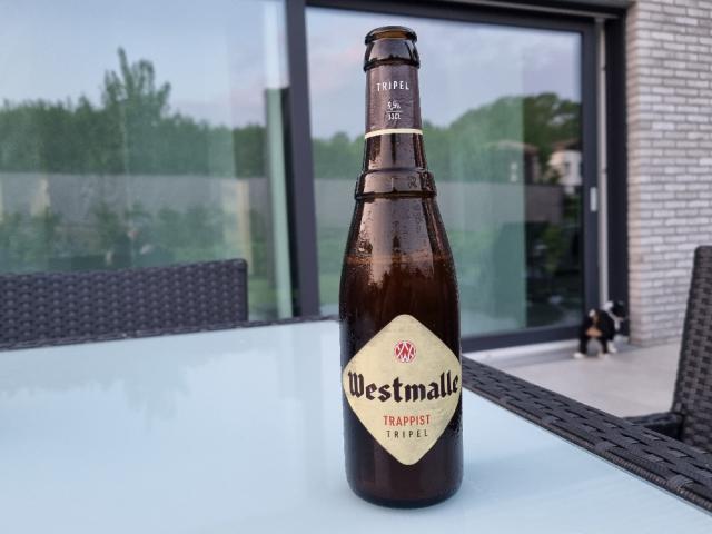 Westmalle Tripel von Magellan | Hochgeladen von: Magellan