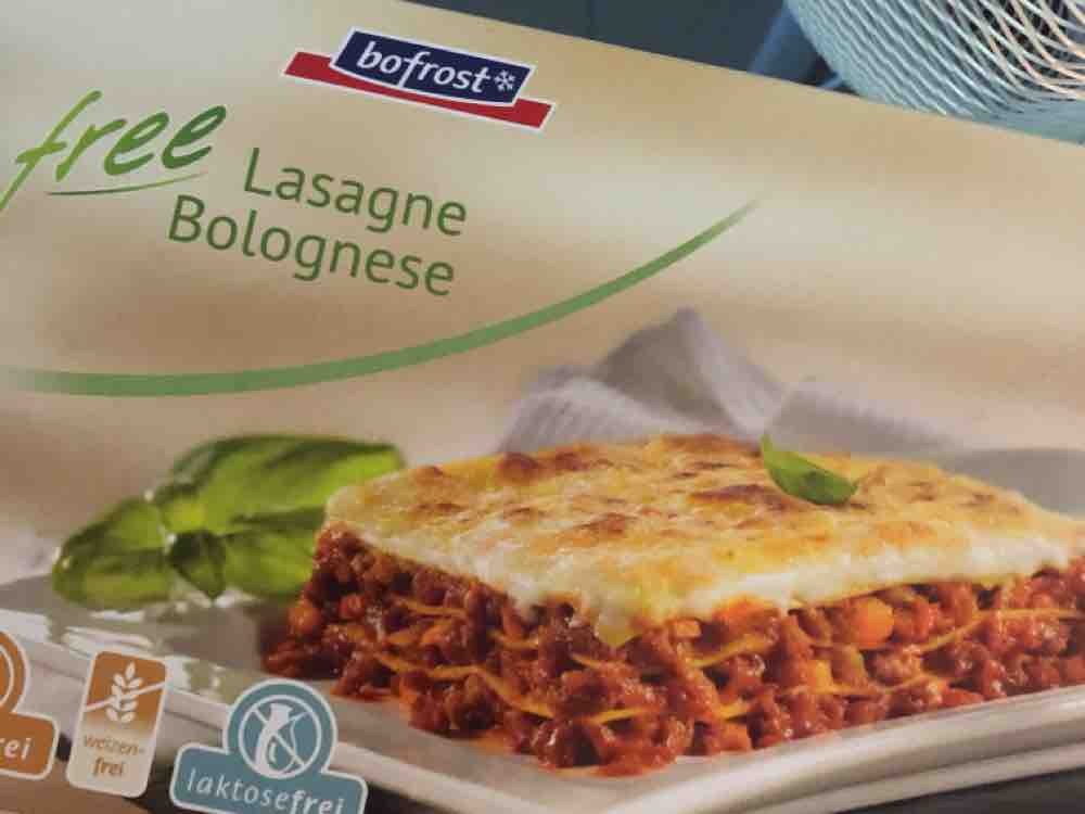 Lasagne Bolognese Glutenfrei und Laktosefrei von angipleyer | Hochgeladen von: angipleyer