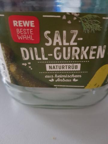 Salz-Dill-Gurken, naturtrüb von oksanapollani954 | Hochgeladen von: oksanapollani954