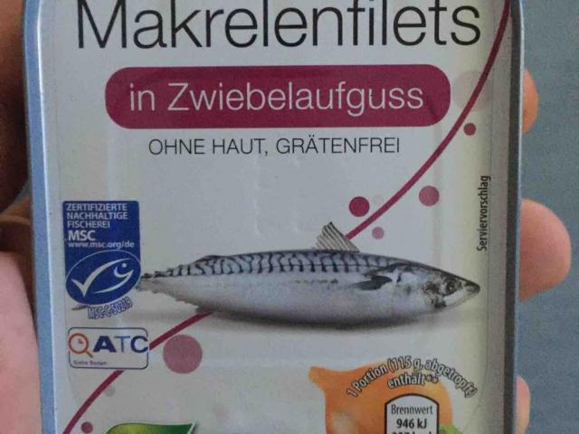 Makrelenfilets, in Zwiebelaufguss von Leadinvader | Hochgeladen von: Leadinvader