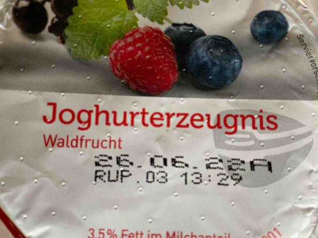 Joghurterzeugnis Waldfrucht, 3,5% Fett im Milchanteil von Sandra | Hochgeladen von: SandraManthey