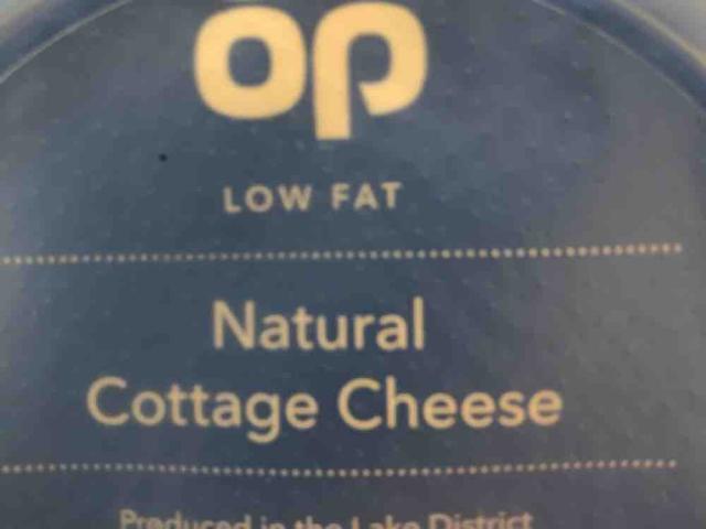 Natural Cottage Cheese, low fat by GuidoSchneider | Uploaded by: GuidoSchneider