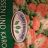 Gemüsemischung Erbsen und Karotten von erol1997356 | Hochgeladen von: erol1997356