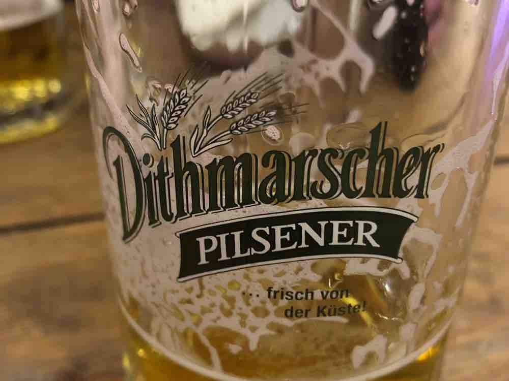 Dithmarscher Pilsener  von m1265k | Hochgeladen von: m1265k